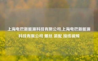 上海电巴新能源科技有限公司,上海电巴新能源科技有限公司 螺丝 装配 接线视频