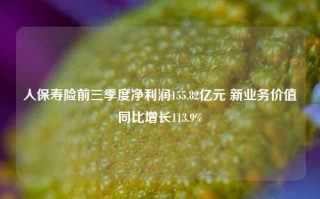 人保寿险前三季度净利润155.82亿元 新业务价值同比增长113.9%