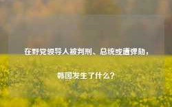 在野党领导人被判刑、总统或遭弹劾，韩国发生了什么？