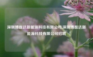 深圳博磊达新能源科技有限公司,深圳博磊达新能源科技有限公司招聘