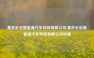 重庆长安新能源汽车科技有限公司,重庆长安新能源汽车科技有限公司待遇