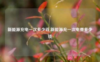 新能源充电一次多少钱,新能源充一次电要多少钱