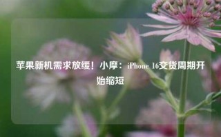 苹果新机需求放缓！小摩：iPhone 16交货周期开始缩短