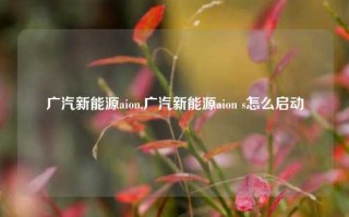 广汽新能源aion,广汽新能源aion s怎么启动