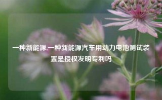 一种新能源,一种新能源汽车用动力电池测试装置是授权发明专利吗