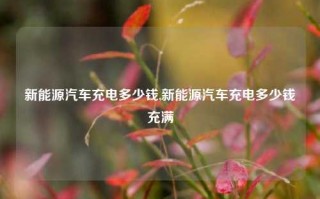 新能源汽车充电多少钱,新能源汽车充电多少钱充满