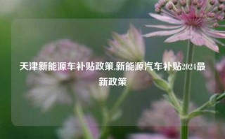 天津新能源车补贴政策,新能源汽车补贴2024最新政策