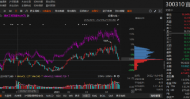 宜通世纪年报虚假记载被行政处罚！