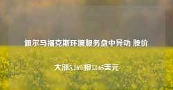 佩尔马福克斯环境服务盘中异动 股价大涨5.16%报13.65美元