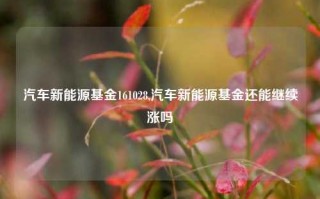 汽车新能源基金161028,汽车新能源基金还能继续涨吗