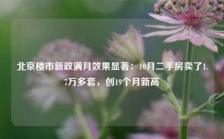 北京楼市新政满月效果显著：10月二手房卖了1.7万多套，创19个月新高