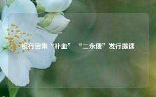 银行密集“补血” “二永债”发行提速