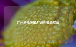 广州新能源展,广州新能源展会