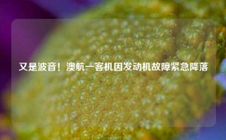 又是波音！澳航一客机因发动机故障紧急降落