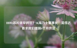 HBM4芯片提早问世？SK海力士董事长：英伟达要求我们提前6个月供货