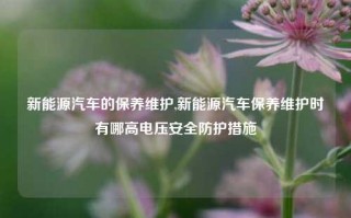 新能源汽车的保养维护,新能源汽车保养维护时有哪高电压安全防护措施