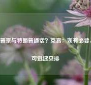 普京与特朗普通话？克宫：如有必要，可迅速安排