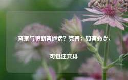 普京与特朗普通话？克宫：如有必要，可迅速安排