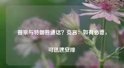 普京与特朗普通话？克宫：如有必要，可迅速安排