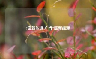 7座新能源,广汽7座新能源