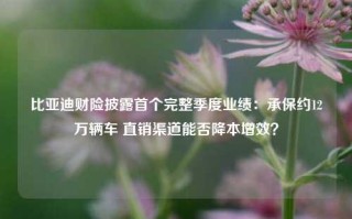 比亚迪财险披露首个完整季度业绩：承保约12万辆车 直销渠道能否降本增效？