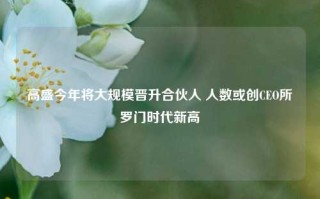 高盛今年将大规模晋升合伙人 人数或创CEO所罗门时代新高