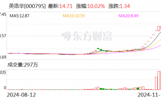 英洛华：公司股价偏离行业平均水平较大