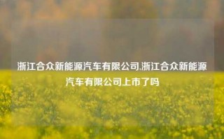 浙江合众新能源汽车有限公司,浙江合众新能源汽车有限公司上市了吗