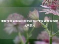 重庆大全新能源有限公司,重庆大全新能源有限公司照片