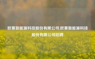 欧赛新能源科技股份有限公司,欧赛新能源科技股份有限公司招聘