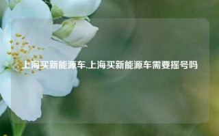 上海买新能源车,上海买新能源车需要摇号吗