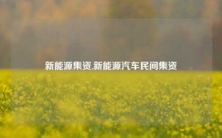 新能源集资,新能源汽车民间集资