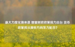 最大力度化债来袭 增量财政政策接力出台 货币政策将从哪些方向发力配合？