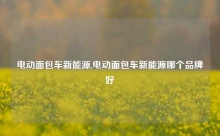 电动面包车新能源,电动面包车新能源哪个品牌好