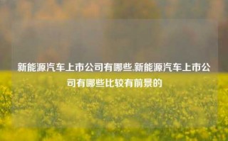 新能源汽车上市公司有哪些,新能源汽车上市公司有哪些比较有前景的