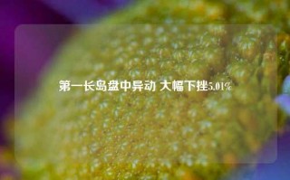 第一长岛盘中异动 大幅下挫5.01%