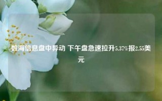 数海信息盘中异动 下午盘急速拉升5.37%报2.55美元