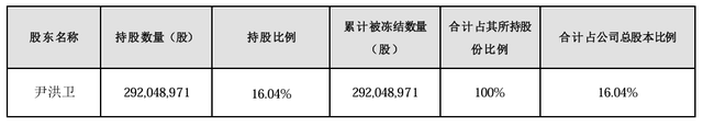 大股东持股遭八次轮候冻结，岭南股份流动性危机何解-第1张图片-新能源