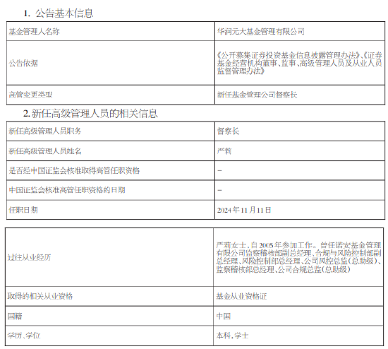 华润元大基金新任严莉为督察长 曾任职于诺安基金-第1张图片-新能源