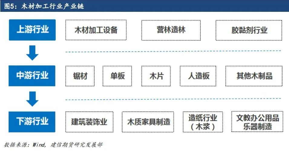 原木期货上市系列专题一：原木基础知识及产业链格局-第5张图片-新能源