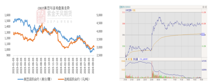 豆粕：难抓的豆粕-第3张图片-新能源