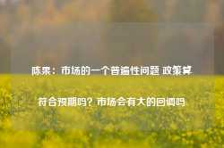 陈果：市场的一个普遍性问题 政策算符合预期吗？市场会有大的回调吗-第1张图片-新能源