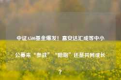 中证A500基金爆发！富安达汇成等中小公募来“参战”“陪跑”还是共同成长？-第1张图片-新能源