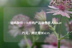 晓鸣股份：10月鸡产品销售收入8646.69万元，同比增长62.4%-第1张图片-新能源