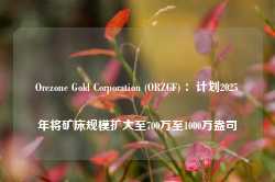 Orezone Gold Corporation (ORZCF) ：计划2025年将矿床规模扩大至700万至1000万盎司-第1张图片-新能源