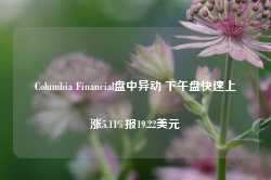 Columbia Financial盘中异动 下午盘快速上涨5.11%报19.22美元-第1张图片-新能源