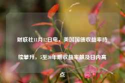 财联社11月12日电，美国国债收益率持续攀升，5至30年期收益率触及日内高点-第1张图片-新能源