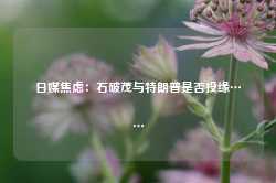 日媒焦虑：石破茂与特朗普是否投缘……-第1张图片-新能源