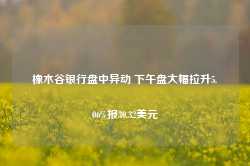 橡木谷银行盘中异动 下午盘大幅拉升5.06%报30.32美元-第1张图片-新能源