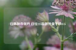 日韩股市低开 日经225指数开盘下跌0.15%-第1张图片-新能源